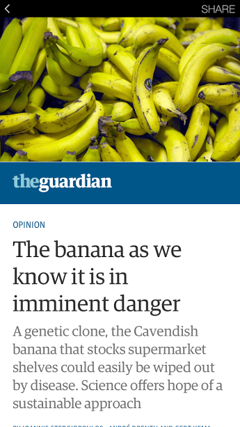 bananas-in-imminent-danger